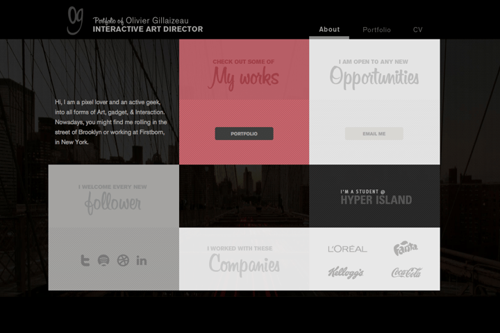 Olivier Gillaizeau website preview